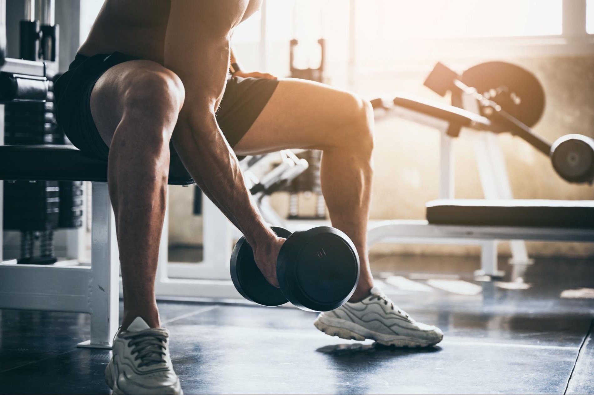 The Science Behind Carnitine: The Ultimate Fitness Fuel-image