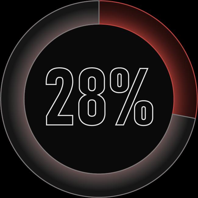 28 Percent